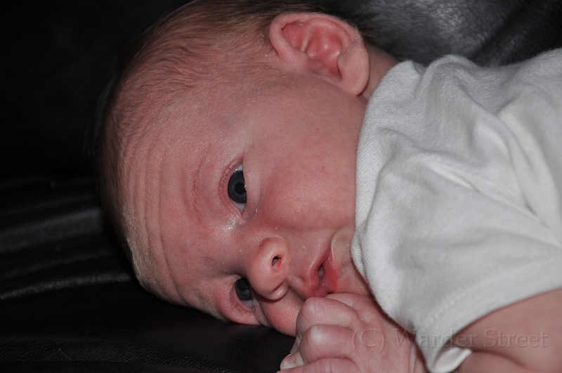 William's Second Week 48.jpg